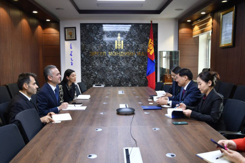 Монгол-Туркийн эрүүл мэндийн салбарын үйл ажиллагааг эрчимжүүлнэ