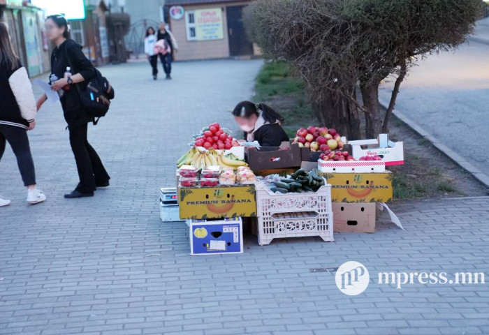 Манай улсад 138 мянга гаруй хүүхэд хөдөлмөр эрхэлж байна