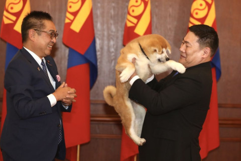 Япон Улсын Ерөнхий сайд асан Ё.Сүга Ерөнхий сайдад Акита үүлдрийн нохой бэлэглэжээ