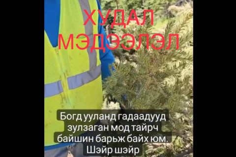 Гадаадын иргэд Богд ууланд бус АНУ-д барилга барьж байжээ