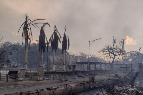 Хавайд гарсан ойн түймрийн улмаас зургаан хүн амиа алдлаа