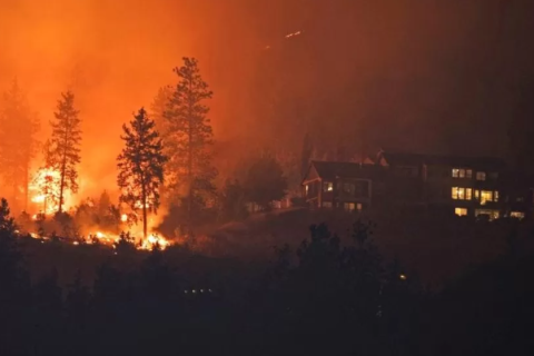 Канад улс даяар 1000 ой хээрийн түймэр асч байна