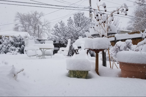 АНУ-ын Денвер хотод 24.5 см хүртэлх хэмжээний цас оржээ