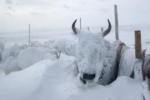 Нийт нутгийн 50 орчим хувьд их эрсдэлтэй гарчээ