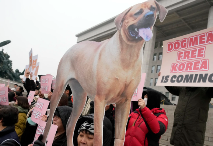 Өмнөд Солонгост нохойны мах худалдаалахыг хориглосон хууль батлагдлаа