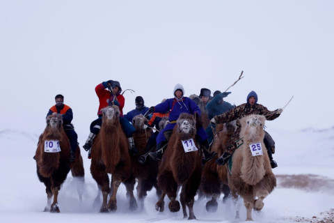 “Монголын тэмээн соёл” улсын зөвлөгөөн Баянхонгор аймагт боллоо