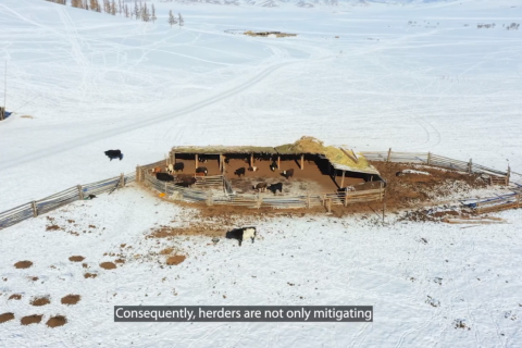 “Монгол орны бэлчээр, байгаль хамгаалал, цаг уурын өөрчлөлт төсөл” Архангай аймагт хэрэгжиж байна