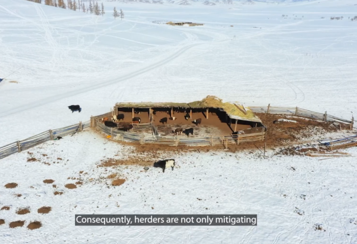 “Монгол орны бэлчээр, байгаль хамгаалал, цаг уурын өөрчлөлт төсөл” Архангай аймагт хэрэгжиж байна