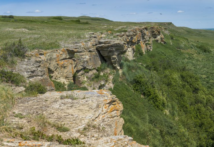 Ууланд алхаж байсан иргэний бие муудаснаас нас баржээ