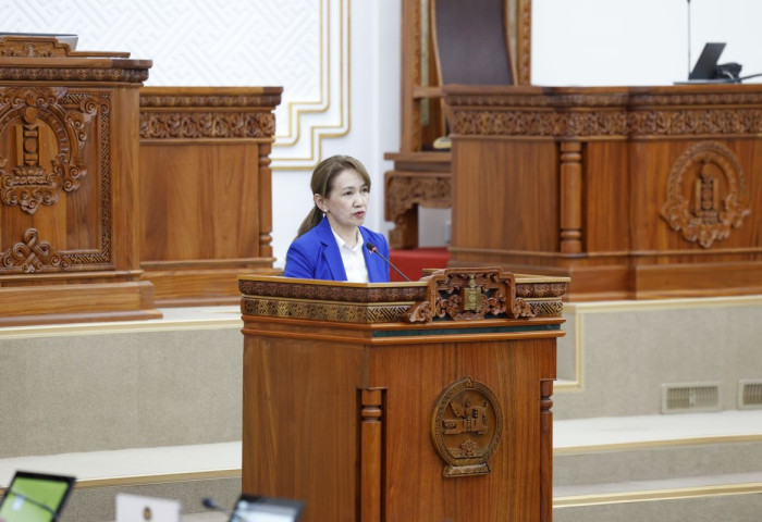 Монгол Улс дахь хүний эрх, эрх чөлөөний байдлын талаарх 24 дэх илтгэлийн санал, зөвлөмжийг УИХ-ын байнгын хороодоор хэлэлцэхээр тогтлоо