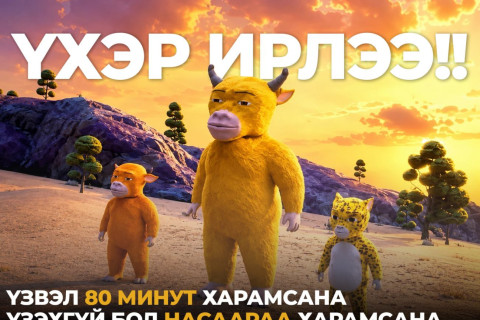 Үхэр ирлээ: Үзвэл 80 минут харамсана, үзэхгүй бол насаараа харамсана