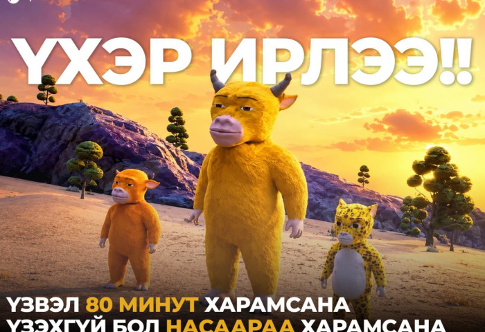 Үхэр ирлээ: Үзвэл 80 минут харамсана, үзэхгүй бол насаараа харамсана