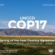 COP17: Том том мөнгөн амлалтууд бүгд орж ирдэггүй