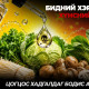 СЭРЭМЖЛҮҮЛЭГ: Хятадаас орж ирдэг бүх хүнсний ногоонд формальдегид илэрлээ