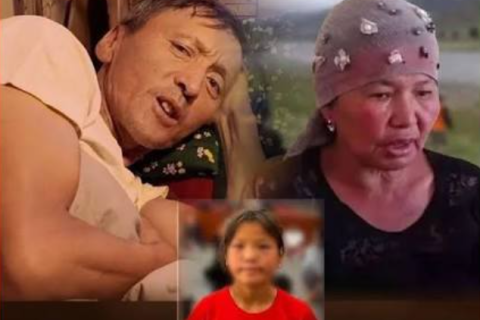 Талийгаач А.Амина охины гэрт олон улсын сэтгэл зүйчдийн багийг илгээхээр болжээ