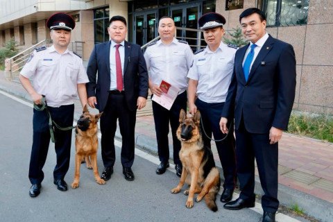С.Амарсайхан гаршуулан өсгөсөн хоёр нохойгоо Хар тамхитай тэмцэх албанд өгчээ