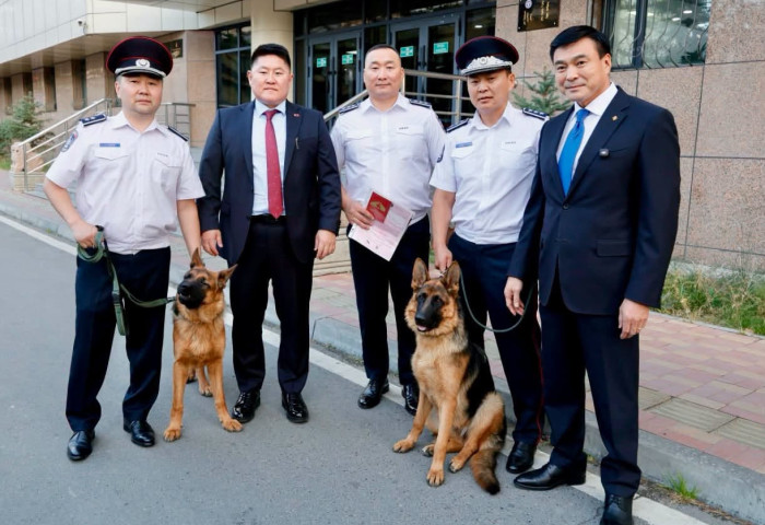 С.Амарсайхан гаршуулан өсгөсөн хоёр нохойгоо Хар тамхитай тэмцэх албанд өгчээ
