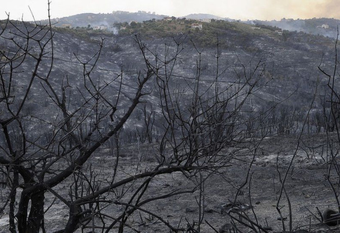 Алжирт гарсан ойн түймэрт 26 хүн амиа алджээ