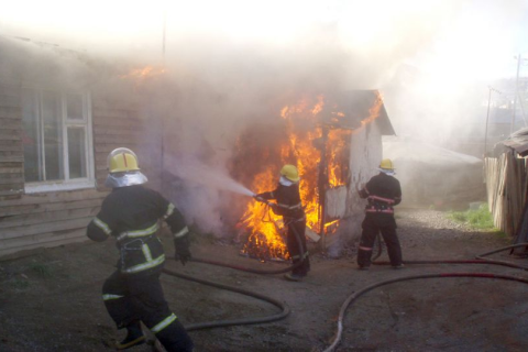 Гахайн байранд гал гарч 10 гахай, 100 тоорой өртөж хорогджээ