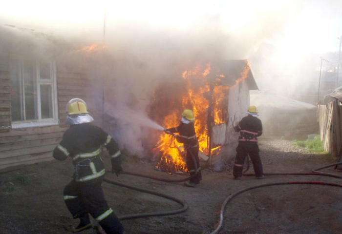 Гахайн байранд гал гарч 10 гахай, 100 тоорой өртөж хорогджээ