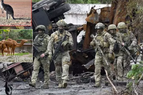 Орос цэргүүд Донецк мужийн амьтны хүрээлэнгийн амьтдыг иджээ