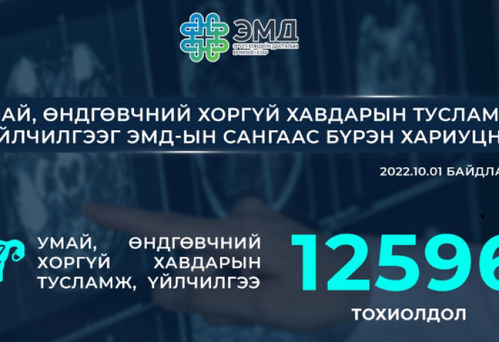 Умай, өндгөвчний хоргүй хавдрын эмчилгээний 85 хувийг ЭМД-аас хөнгөлнө