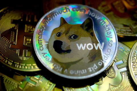 “Doge” мемийн бэлгэ тэмдэг нохой цусны хорт хавдартай болжээ