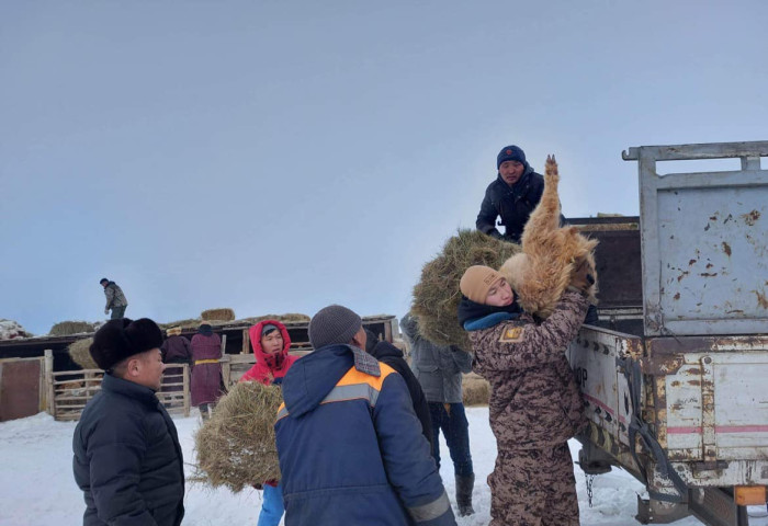 Өвөлжилт хүндэрсэн сумдын айлуудыг нүүлгэхэд цэргийнхэн дэмжлэг үзүүлж байна