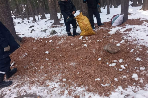 Архины хамааралтай иргэдийг самарт авч явж хүчээр хөдөлмөрлүүлдэг байсан этгээдүүдийг баривчилжээ