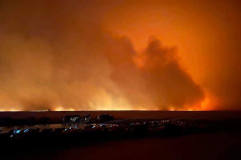 Дорнод, Сүхбаатар аймагт гарсан түймрийг унтраахаар 260 гаруй хүн ажиллаж байна