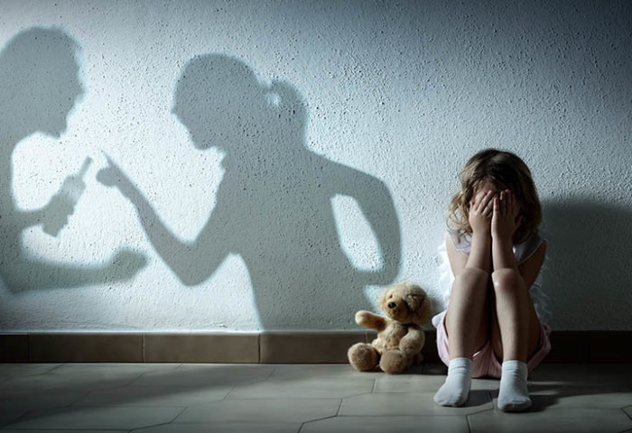 Энэ оны эхний улиралд гэр бүлийн хүчирхийллийн 429 хэрэг бүртгэгджээ