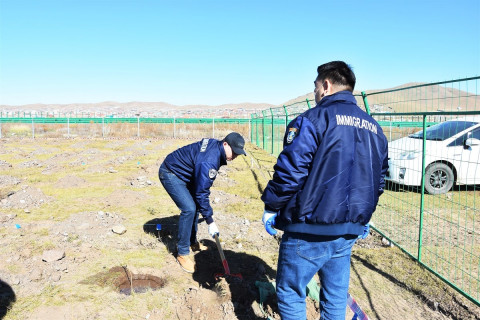 Гадаадын иргэн харъяатын газар мод тарих аянд нэгдлээ