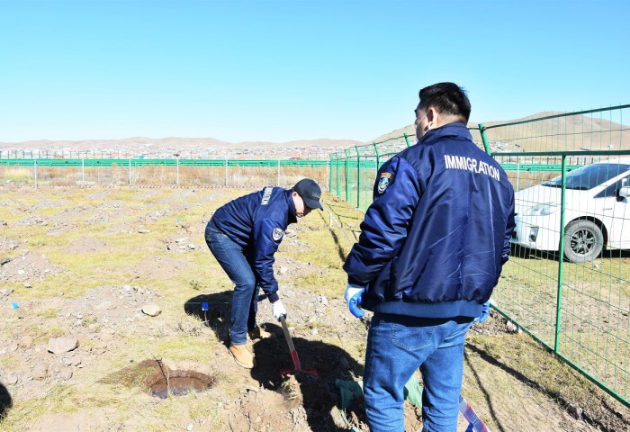 Гадаадын иргэн харъяатын газар мод тарих аянд нэгдлээ