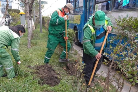 Ногоон байгууламжийг устгаагүй шилжүүлсэн