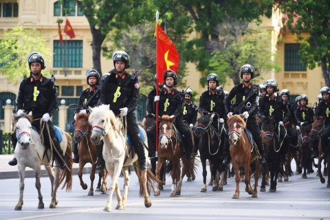 Монгол морьд Вьетнам Улсын морьт цагдаагийн хороонд зүтгэж байна