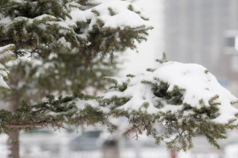 Өнөөдөр Улаанбаатар хотод цас орохгүй, 1-3 хэмийн хүйтэн байна