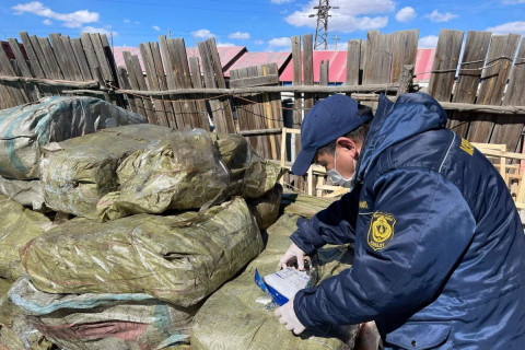 Барилгын материал дунд мал, амьтны гаралтай бүтээгдэхүүн нууж оруулжээ