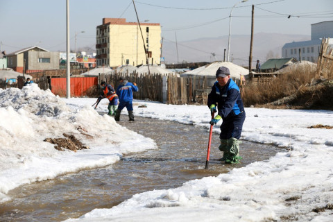 Нийслэлийн 10 байршилд халиа үүсжээ