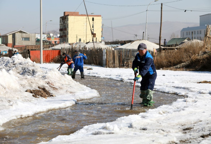 Нийслэлийн 10 байршилд халиа үүсжээ