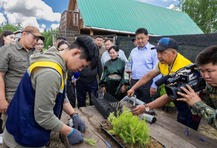 Улаан номд орсон модыг бортогонд амжилттай үржүүлжээ