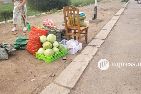 Цагдаагийн байгууллагаас ногоочдод арга хэмжээ аваагүй