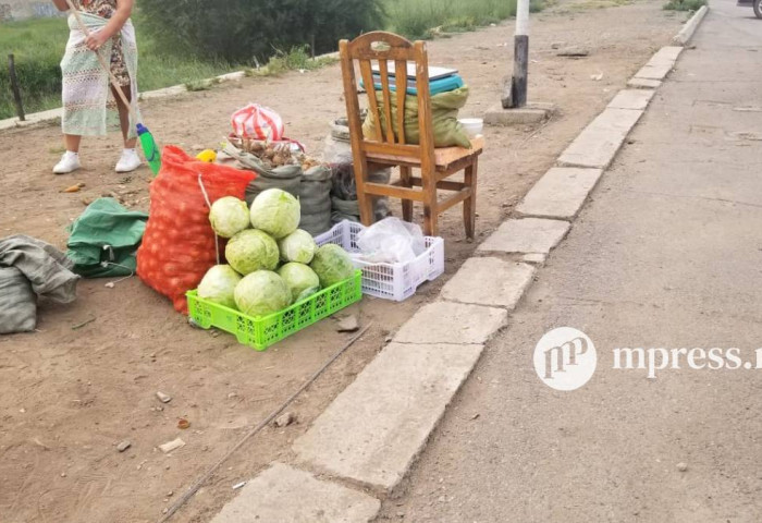 Цагдаагийн байгууллагаас ногоочдод арга хэмжээ аваагүй