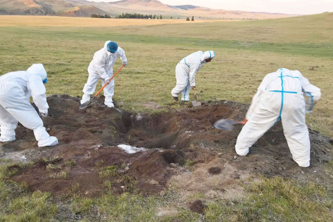 Орхон аймгийн Жаргалант суманд энэ сарын 10-ныг хүртэл хөл хорио тогтоожээ