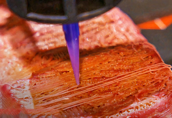 Японы их сургуульд амттай үхрийн махан стейкийг 3D-р хэвлэв