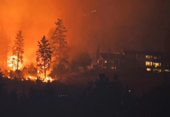 Канад улс даяар 1000 ой хээрийн түймэр асч байна
