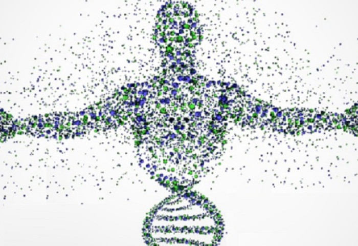 ТАНИН МЭДЭХҮЙ: Хүрээлэн буй орчин ДНХ-д нөлөөлдөг