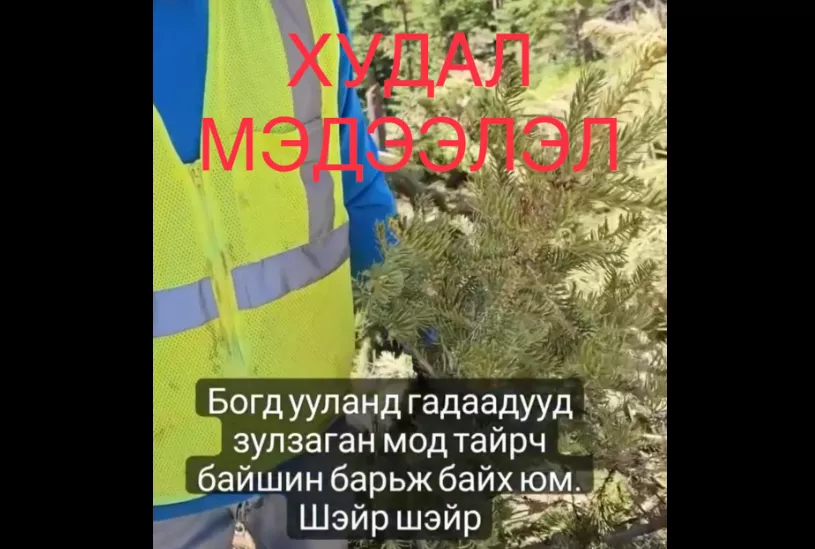 Гадаадын иргэд Богд ууланд бус АНУ-д барилга барьж байжээ
