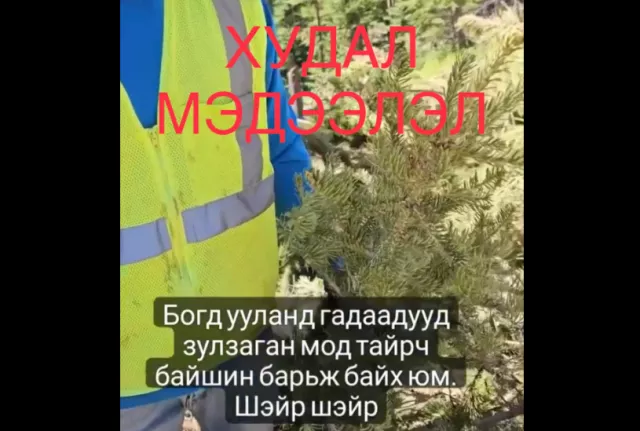 Гадаадын иргэд Богд ууланд бус АНУ-д барилга барьж байжээ