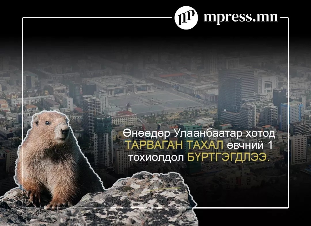 Тарваган тахлын халдвар дамжих зам болон илрэх шинж тэмдгүүд