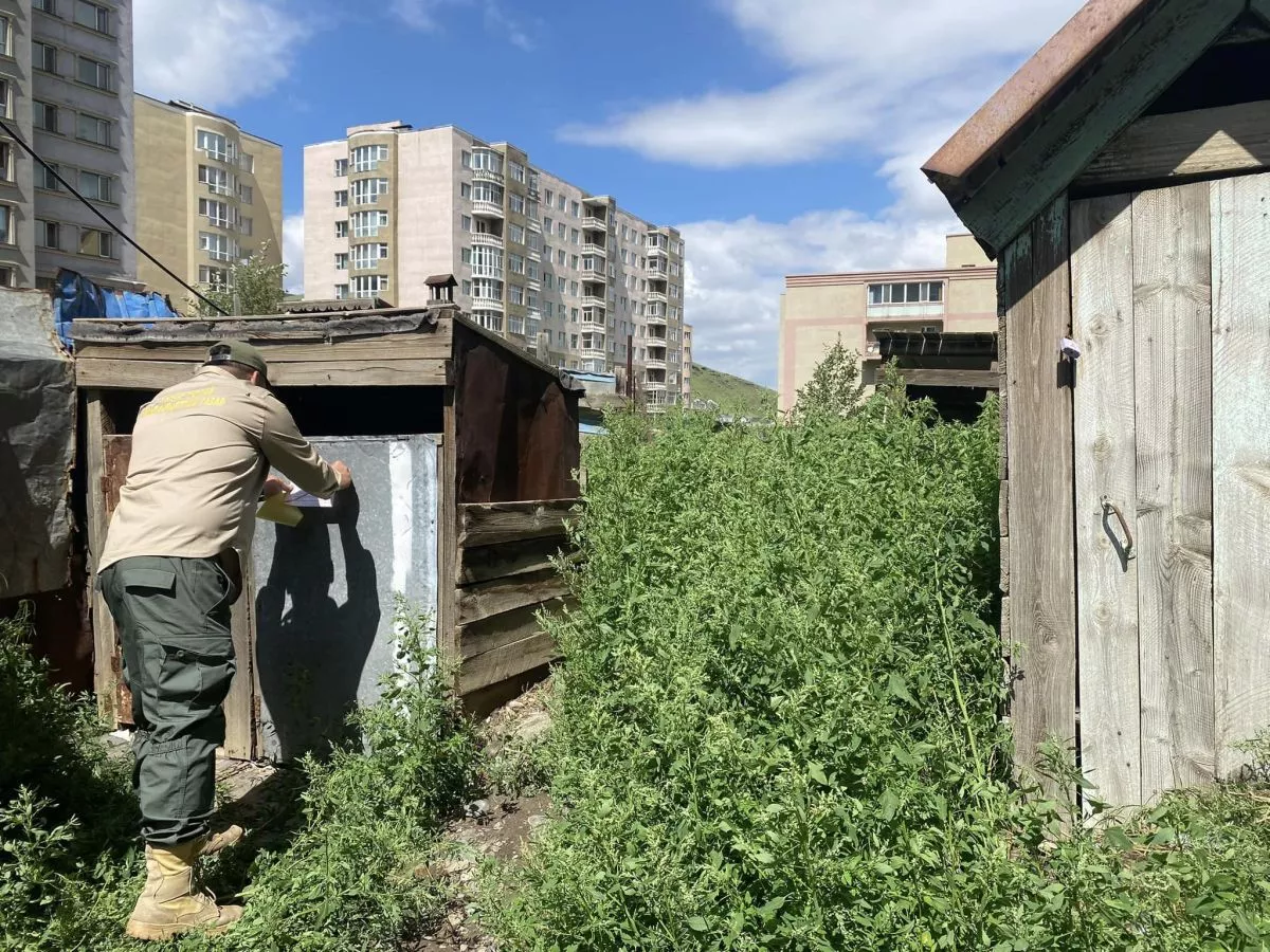 Зайсангийн аманд олон жил болсон нүхэн жорлонгуудыг буулгажээ